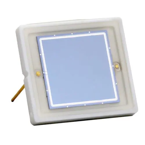 Advanced Photonix_RD-100