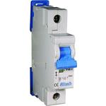 Altech Corporation_1BU15R