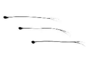 Amphenol Advanced Sensors_MC65G503BN