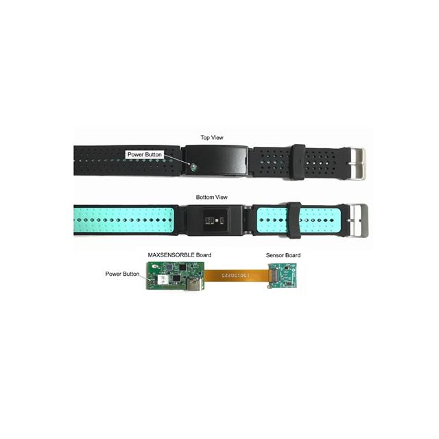 Analog Devices Inc./Maxim Integrated_MAX86174AENE+T