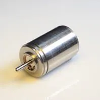API Delevan_11BRCX-300-G10