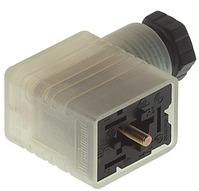 Belden_GML 209 NJ LED 24 HH SCHWARZ/BLACK