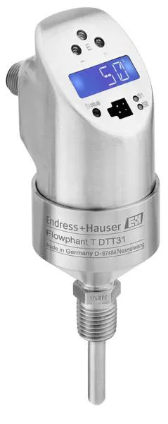 Endress+Hauser_DTT31-A1A111DE2AAB