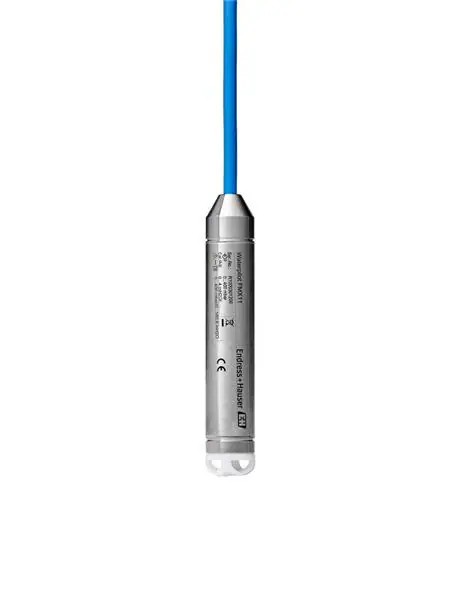 Endress+Hauser_FMX11-CA11DS06