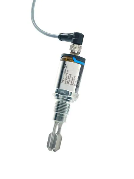 Endress+Hauser_FTL31-AA4M2BAWDJ