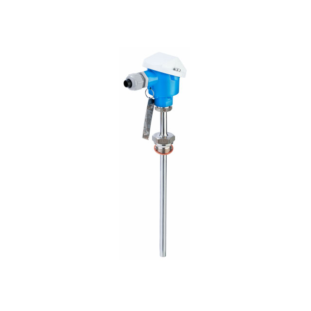 Endress+Hauser_TM101-AACCA4BC1A1A1