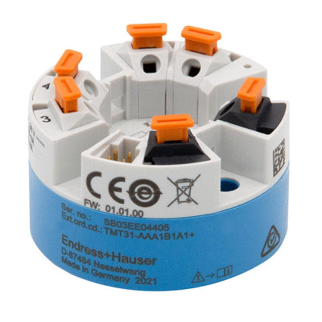 Endress+Hauser_TMT31-AAA1B1A1