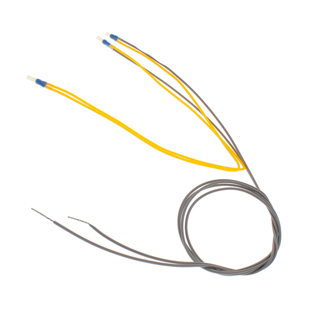 EPCOS (TDK)_B59300M1120A070
