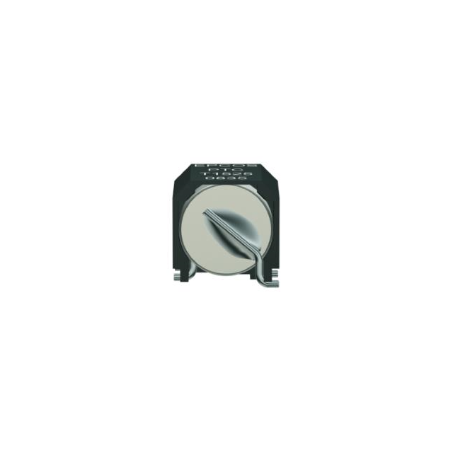 EPCOS (TDK)_B59509T1120A062