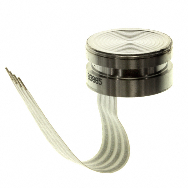 Honeywell Sensing and Productivity Solutions_19C100PV2L