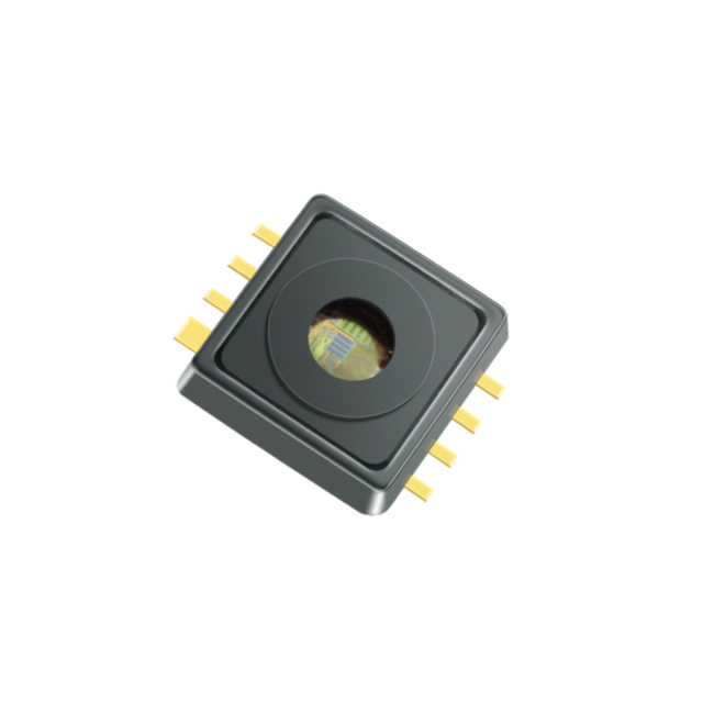 Infineon Technologies_KP256XTMA2