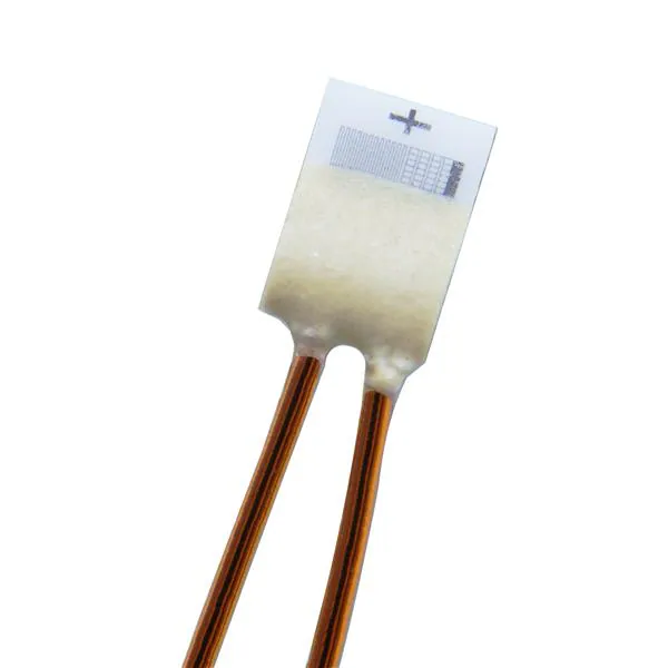 Innovative Sensor Technology_P0K1.161.1E.B.200