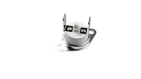 Microtherm Sentronic_TK32-T02-MG01-B1C-2253-MIC