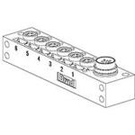 Molex_BNB601P-FBC