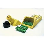 Molex_BTY403P-FBA