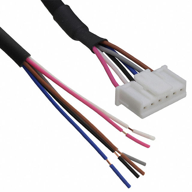 Panasonic_CN-66-C2
