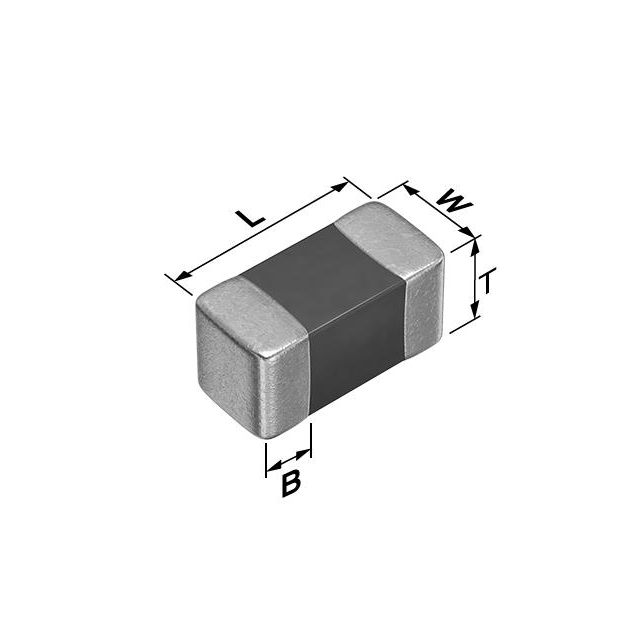 TDK Corporation_NTCG064EF104FTDSX