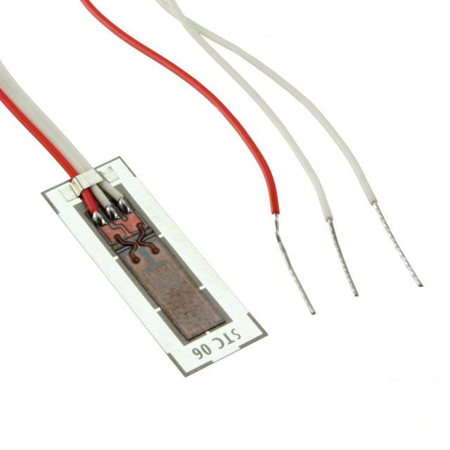 VPG Micro-Measurements_MMF003366