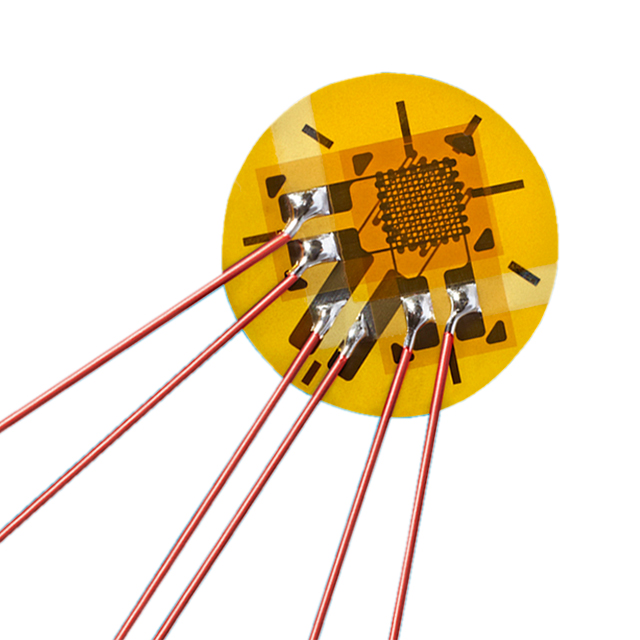VPG Micro-Measurements_MMF336118