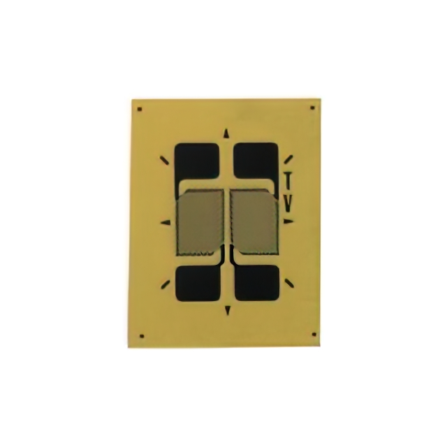 VPG Micro-Measurements_MMF404728