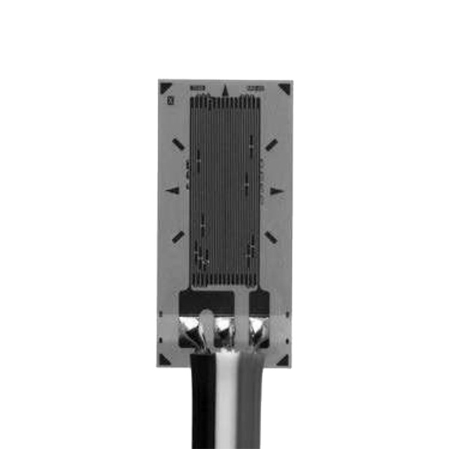 VPG Micro-Measurements_MMF403745