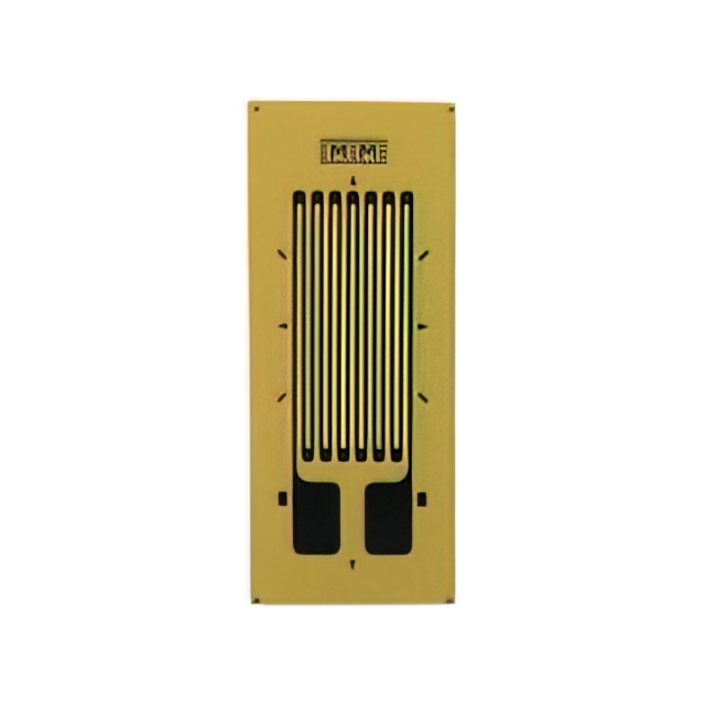 VPG Micro-Measurements_MMF404494