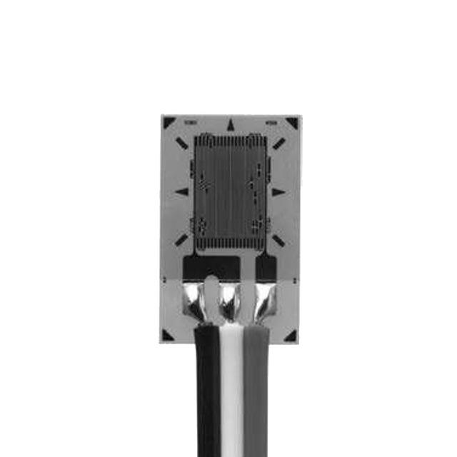 VPG Micro-Measurements_MMF404713