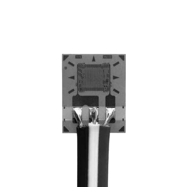 VPG Micro-Measurements_MMF404998
