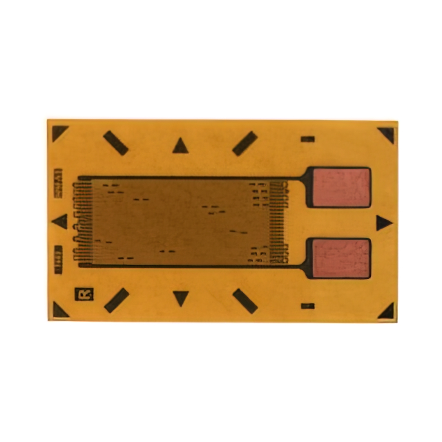 VPG Micro-Measurements_MMF405213
