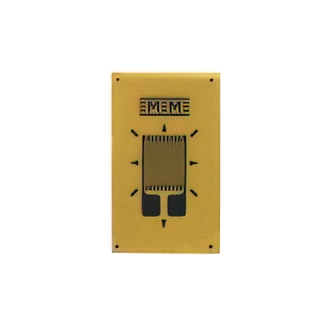 VPG Micro-Measurements_MMF404887