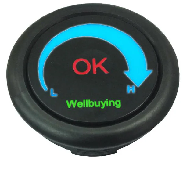 Well Buying_TS005-BTKK301BRBG-W100