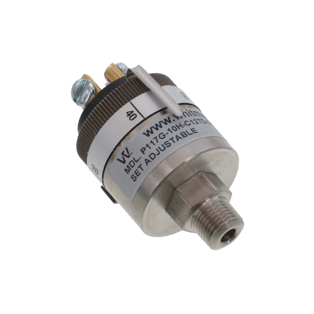Whitman Controls_P117G-10H-C12TS-DIS