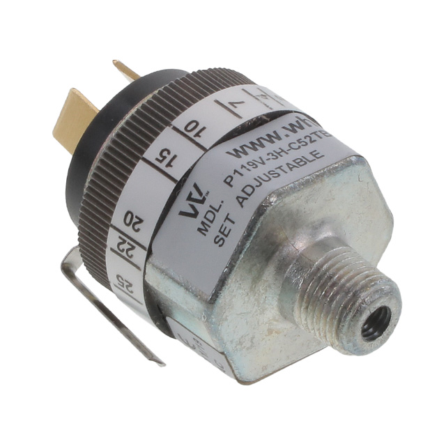 Whitman Controls_P119V-3H-C52TB-DIS